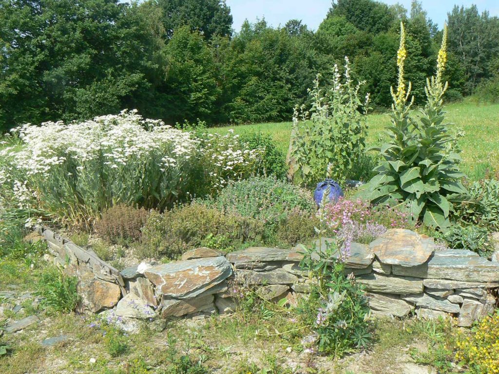 Rozkvetlá bylinná zahrada